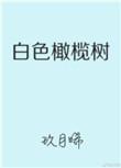白色橄榄树电视剧免费观看陈哲远